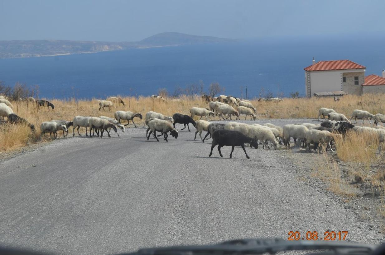 Island Villa Agia Galini  Exterior photo