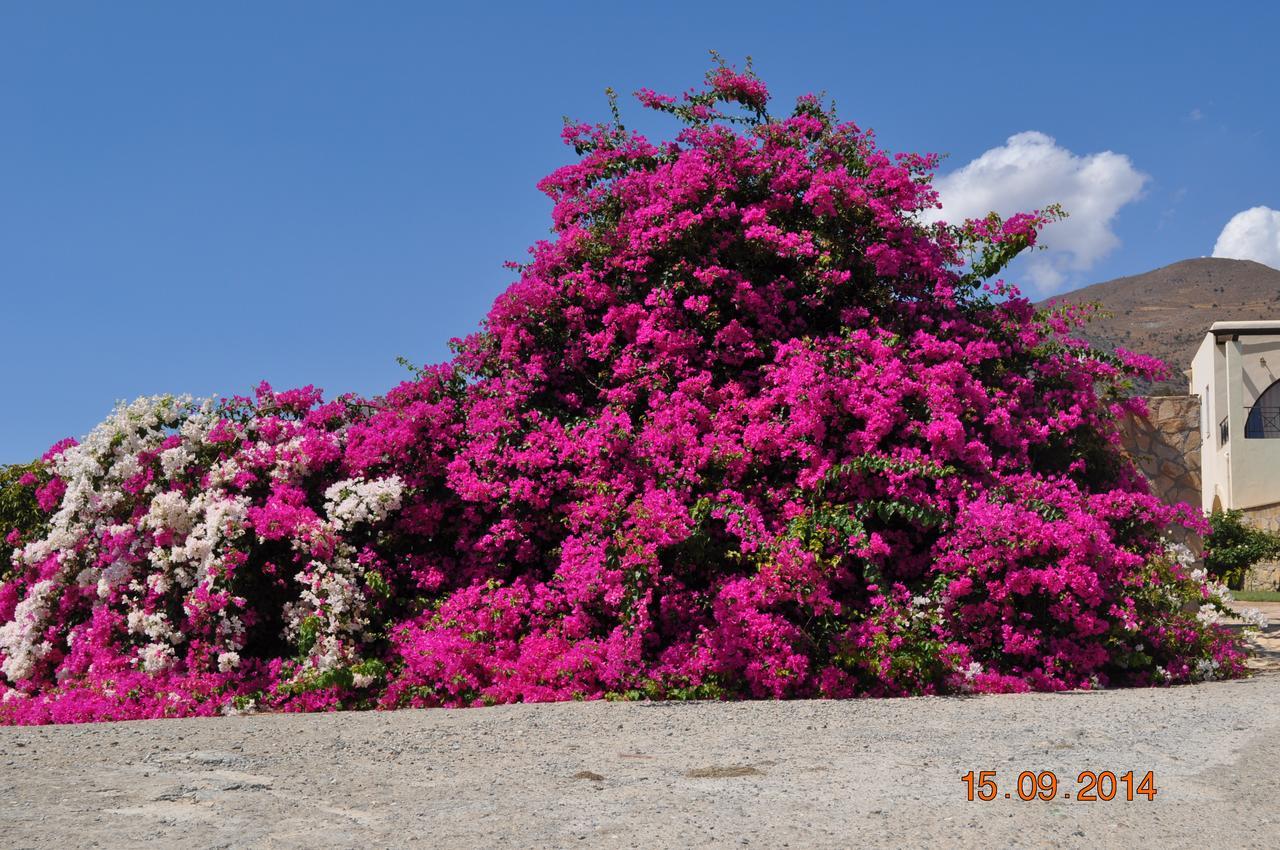 Island Villa Agia Galini  Exterior photo